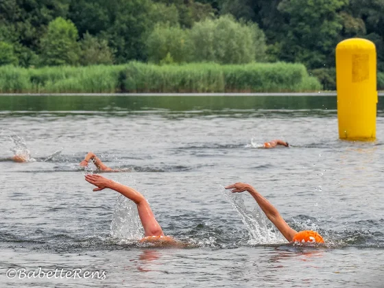 npsb-nk open Water Zwemmen